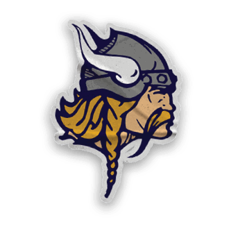 A collection of Vikings merchandise, including a logo, a map of the United States, and a baseball glove. AI generated content