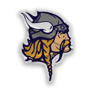 A collection of Vikings merchandise, including a logo, a map of the United States, and a baseball glove. AI generated content