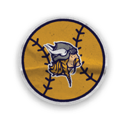 A collection of Vikings merchandise, including a logo, a map of the United States, and a football helmet. AI generated content