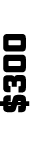 $300