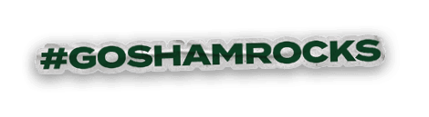 A collection of sports-related items, including a baseball glove, a baseball bat, and a baseball glove. AI generated content