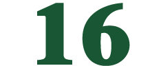 16