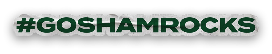 A collection of sports-related items, including a baseball glove, a baseball bat, and a baseball glove. AI generated content