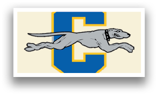 A dog is shown running with a C on its back. AI generated content