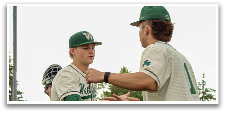 Two baseball players shake hands on the field. AI generated content