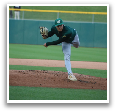 A baseball player in a green shirt and white pants is pitching a ball. Description generated by AI