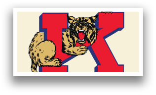 A letter K is shown with a cat's face. Description generated by AI