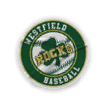 A collection of sports-related items, including a baseball glove, a baseball bat, and a baseball glove. AI generated content