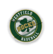 A collection of sports-related items, including a baseball glove, a baseball bat, and a baseball glove. AI generated content