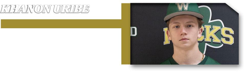 Huge RBI triple that helped swing momentum toward the Rocks,KHANON URIB