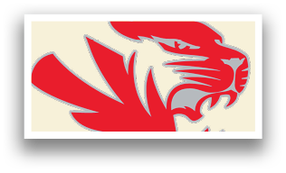 A red and black tiger head. Description generated by AI