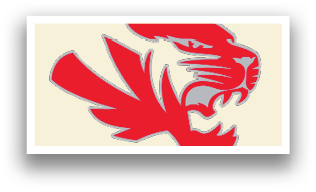 A red and black tiger head. Description generated by AI