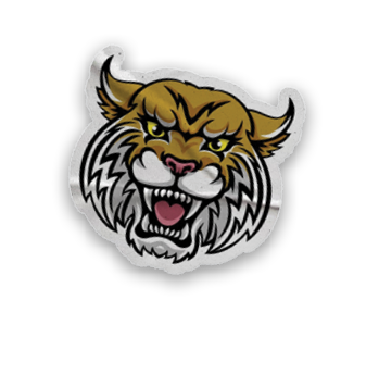 A collection of stickers and magnets featuring a tiger mascot, a map of the United States, and a hand with a thumbs up. AI generated content