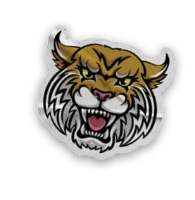 A collection of stickers and magnets featuring a tiger mascot. AI generated content