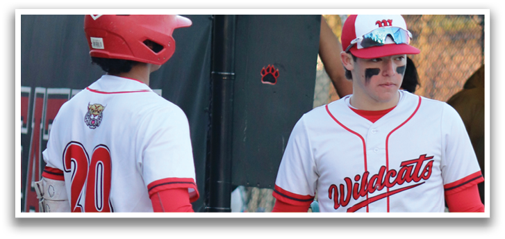 Two baseball players shake hands in front of a cart full of baseballs. AI generated content