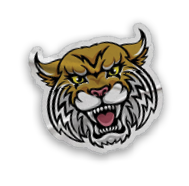 A collection of stickers and magnets featuring a tiger mascot. AI generated content