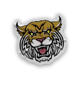 A collection of stickers and magnets featuring a tiger mascot, a map of the United States, and a hand with a thumbs up. AI generated content