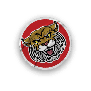 A collection of stickers featuring a tiger mascot and the words “Go Wildcats" on them. AI generated content