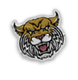 A collection of stickers and magnets featuring a tiger mascot. AI generated content