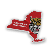 A collection of stickers and magnets featuring a tiger mascot. AI generated content