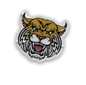 A collection of stickers and magnets featuring a tiger mascot, a map of the United States, and a hand with a thumbs up. AI generated content