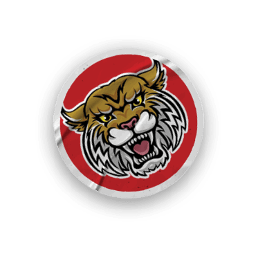 A collection of stickers featuring a tiger mascot and the words “Go Wildcats" on them. AI generated content