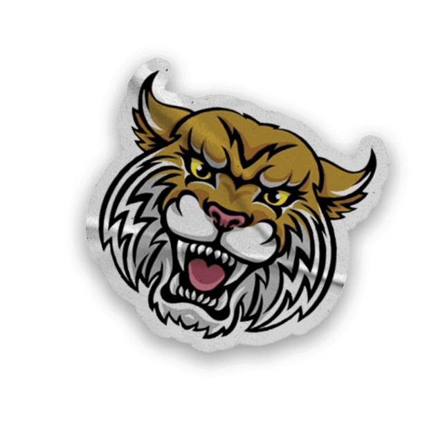 A collection of stickers and magnets featuring a tiger mascot. AI generated content