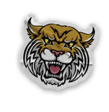 A collection of stickers and magnets featuring a tiger mascot. AI generated content