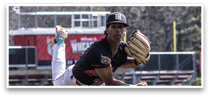 A baseball player in a black shirt and white pants is throwing a ball. Description generated by AI