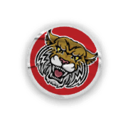 A collection of stickers and magnets featuring a tiger mascot. AI generated content