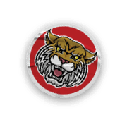 A collection of stickers and magnets featuring a tiger mascot. AI generated content