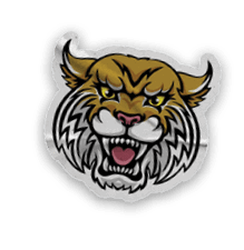 A collection of stickers and magnets featuring a tiger mascot. AI generated content