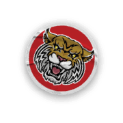 A collection of stickers and magnets featuring a tiger mascot. AI generated content