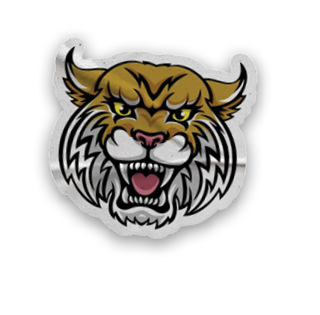 A collection of stickers and magnets featuring a tiger mascot, a map of the United States, and a hand with a thumbs up. AI generated content