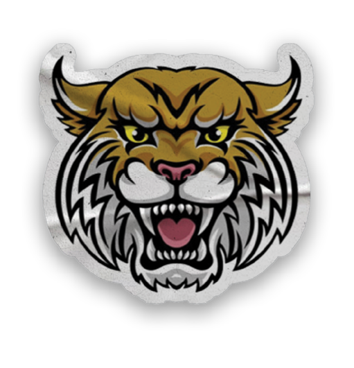 A collection of stickers and magnets featuring a tiger mascot and the words “Go Wildcats" on them. AI generated content