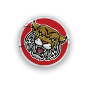 A collection of stickers and magnets featuring a tiger mascot. AI generated content