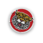 A collection of stickers and magnets featuring a tiger mascot. AI generated content
