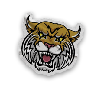 A collection of stickers and magnets featuring a tiger mascot, a map of the United States, and a hand with a thumbs up. AI generated content