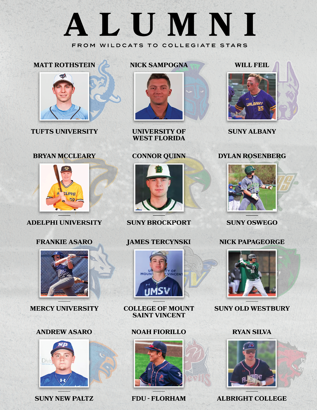 A poster featuring a group of men, including a baseball player, a football player, and a basketball player. AI generated content