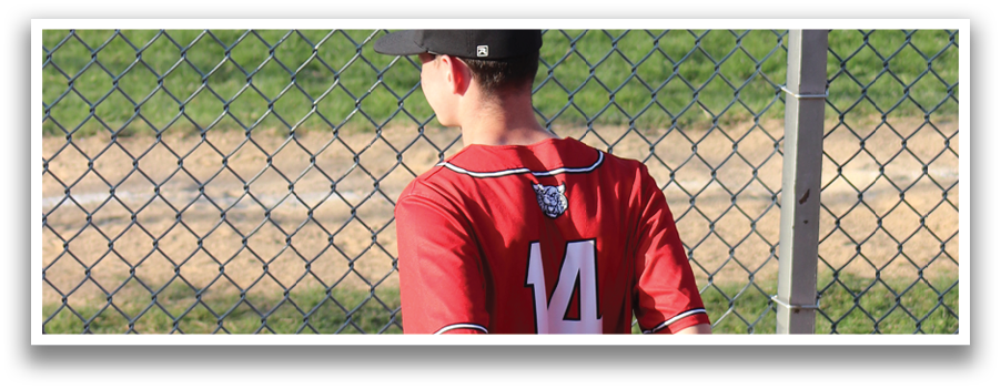 A baseball player wearing a red shirt with the number 17 on it. Description generated by AI