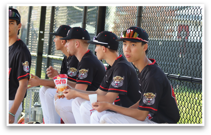 A group of baseball players sitting on a bench. Description generated by AI