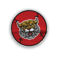 A collection of stickers and magnets featuring a tiger mascot. AI generated content