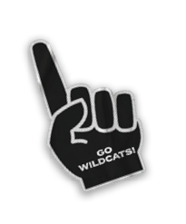 A collection of stickers and magnets featuring a tiger mascot. AI generated content