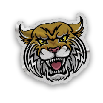 A collection of stickers and magnets featuring a tiger mascot. AI generated content
