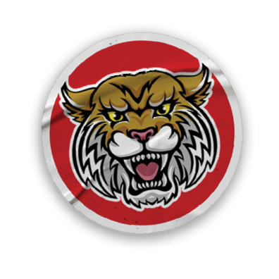 A collection of stickers and magnets featuring a tiger mascot. AI generated content
