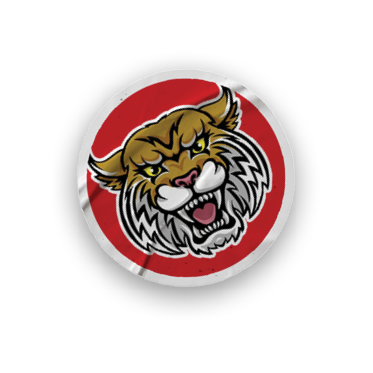 A collection of stickers featuring a tiger mascot and the words “Go Wildcats" on them. AI generated content