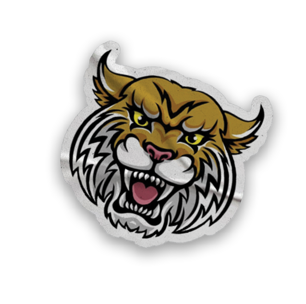 A collection of stickers and magnets featuring a tiger mascot. AI generated content