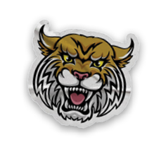 A collection of stickers and magnets featuring a tiger mascot. AI generated content