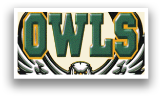 A logo for the Owls. Description generated by AI