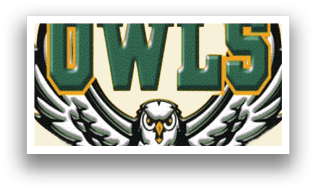 A green and white spiked helmet. Description generated by AI